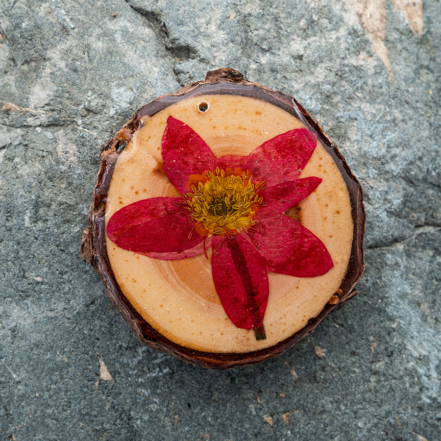 Zirbenblüte 5269 Kette Holzschmuck aus Naturholz / Anhänger