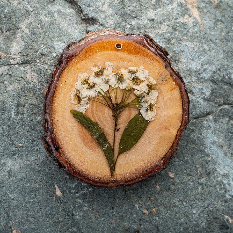 Zirbenblüte 5307 Kette Holzschmuck aus Naturholz / Anhänger
