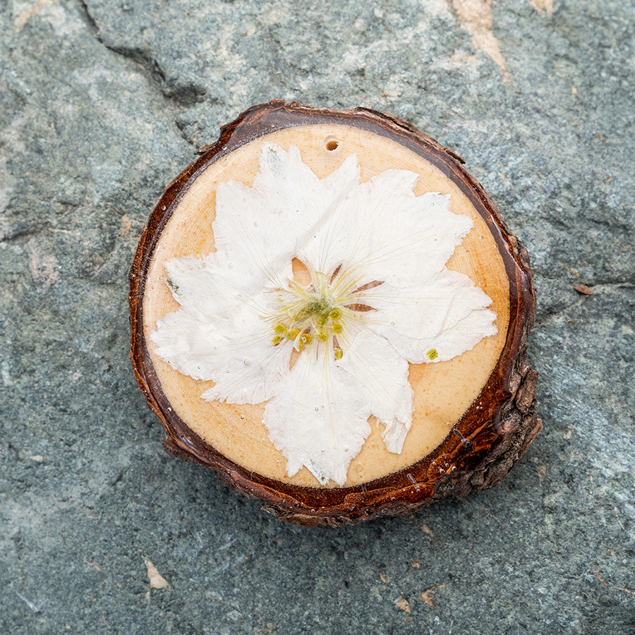 Zirbenblüte 5327 Kette Holzschmuck aus Naturholz / Anhänger